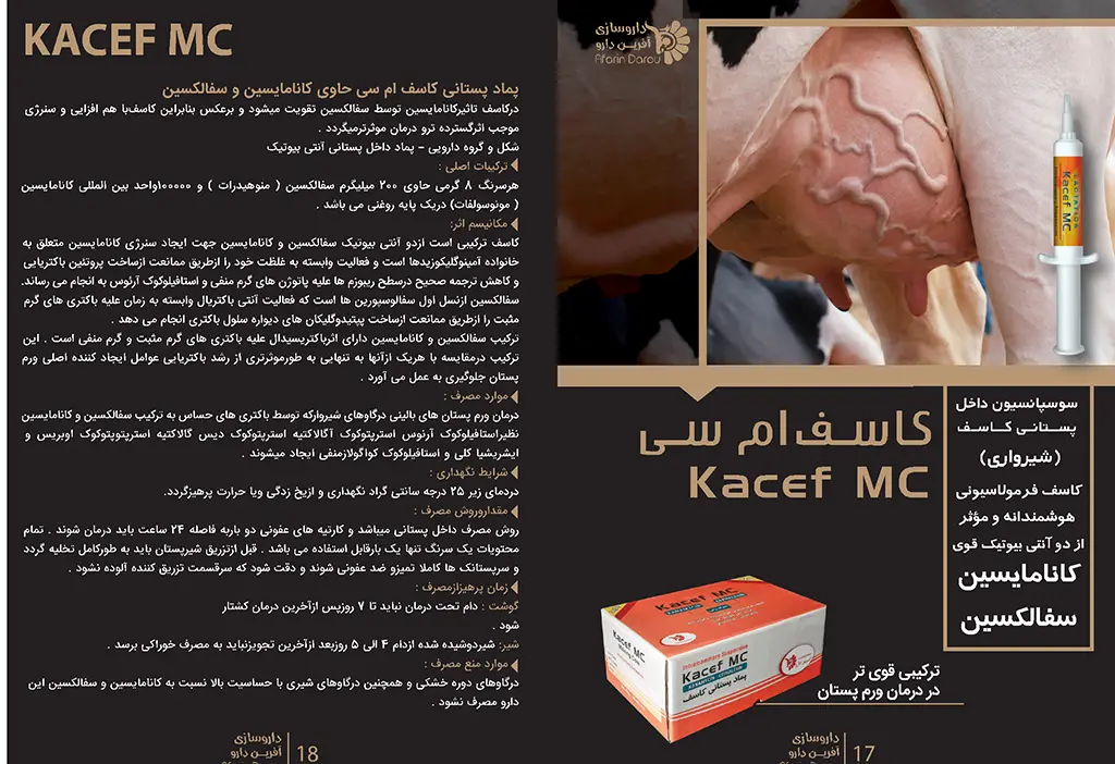 کاسف ام سی - Kacef MC بروشور